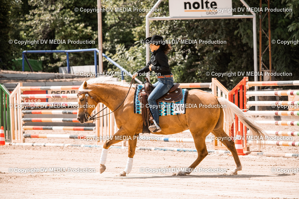 ZS3_0049 | dv-media-shop - Realisiert mit Pictrs.com