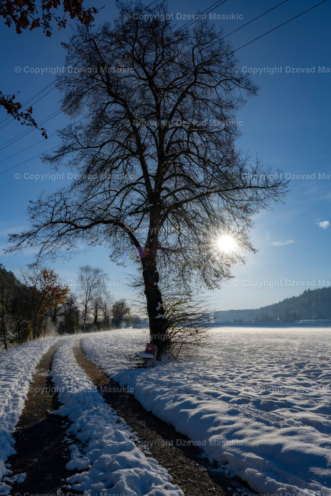 DSC_1787 | Ich fotografiere Landschaften, Produkte und erstelle für Sie Firmenportraits. Engagieren Sie mich für den nächsten Projekt. - Realisiert mit Pictrs.com