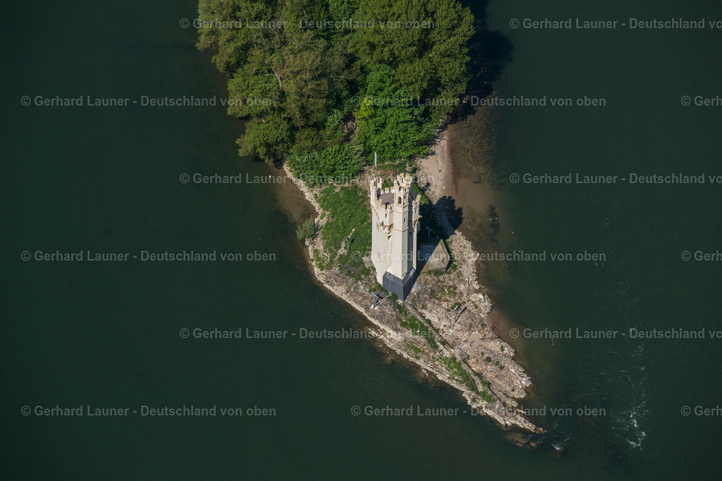 3800081 | Mäuseturminsel, Binger Mäuseturm, Bingen