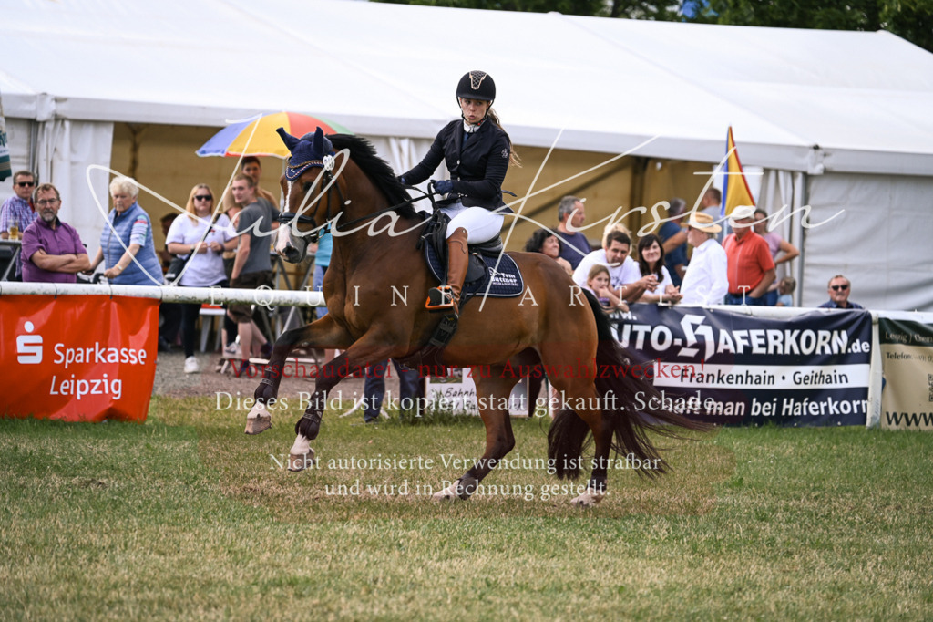 DSC_0895 | Pferde- und Turnierfotografie in Westsachsen. Pferdeportraits, Auftragszeichnungen und intuitive Kunst.