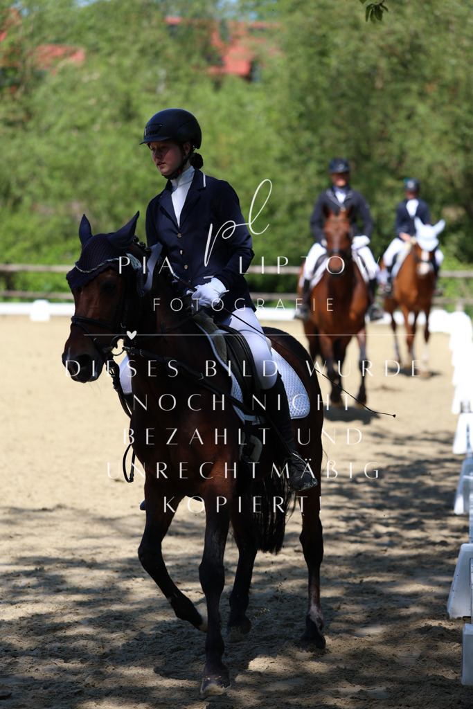 IMGS3523 | pl-fotografie