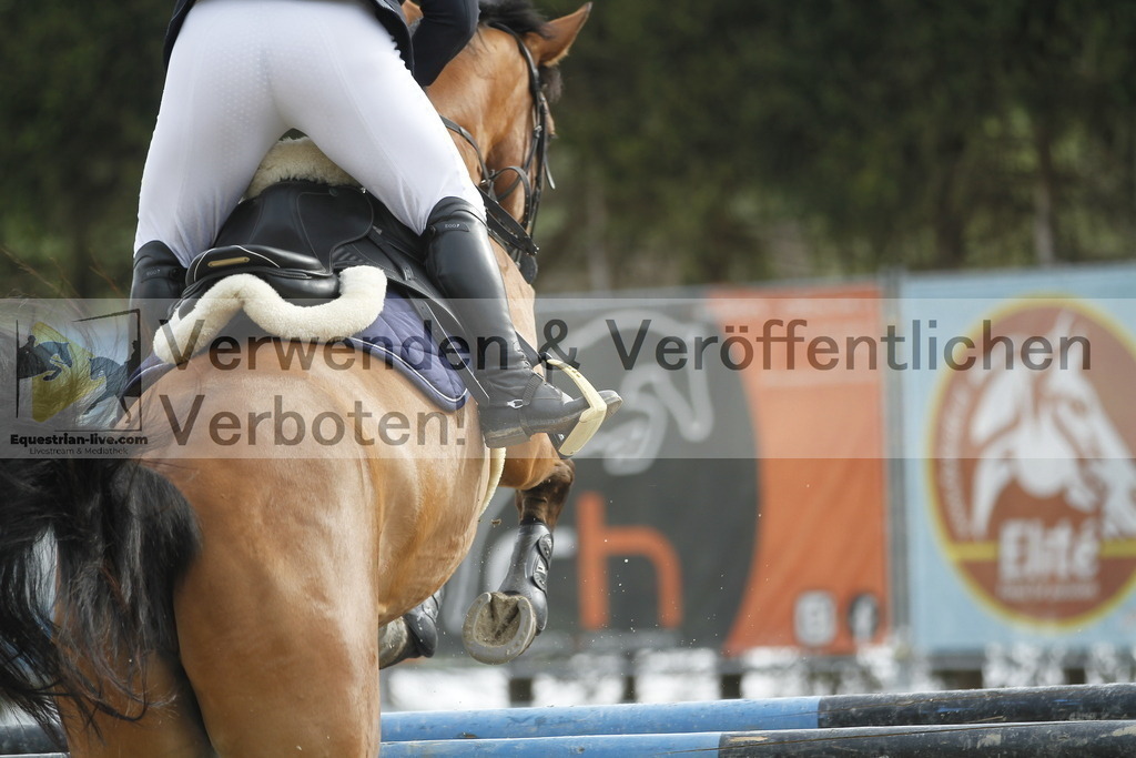 _MG_4299 | equestrian-live-com