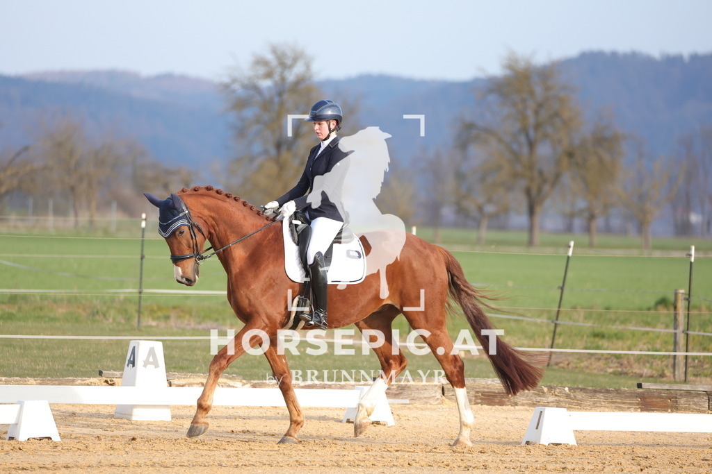 0P6A5932 | Willkommen bei Brunnmayr - Design & Fotografie – Ihrem Spezialisten für Reitturniere und Pferdeveranstaltungen in Oberösterreich, Salzburg und Bayern! Seit über 17 Jahren sind wir leidenschaftlich dabei.