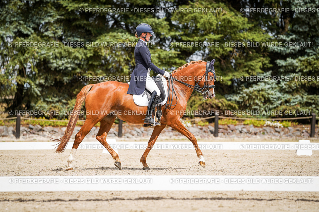 DSC06155 | Pferdegrafie