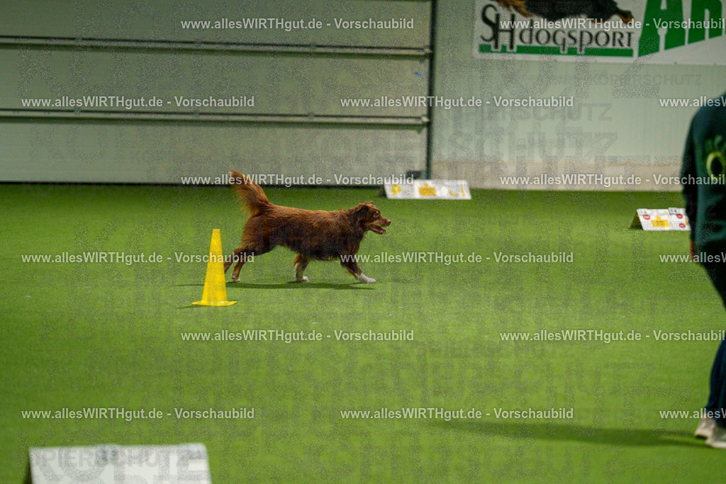 7R508914 | Professionelle Tierfotografie in Mönchengladbach von Daniel Wirth (allesWIRTHgut). Liebevolle & natürliche Bilder von Hunden & Katzen für unvergessliche Erinnerungen.