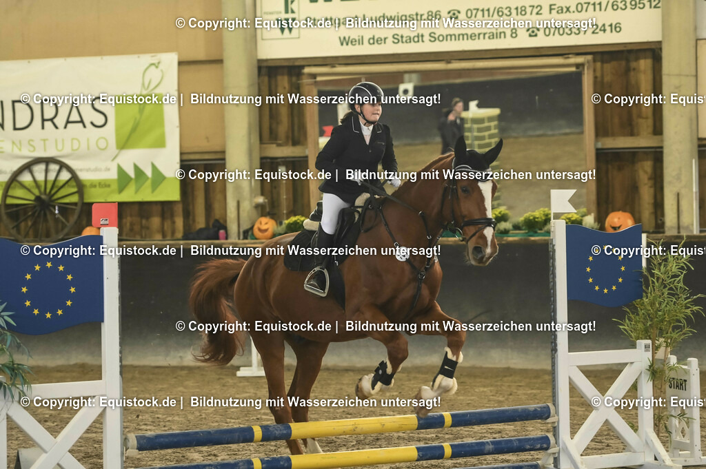 20231029_07_Stilspring-WB-50cm_0030 | Foto: Thomas Hartig