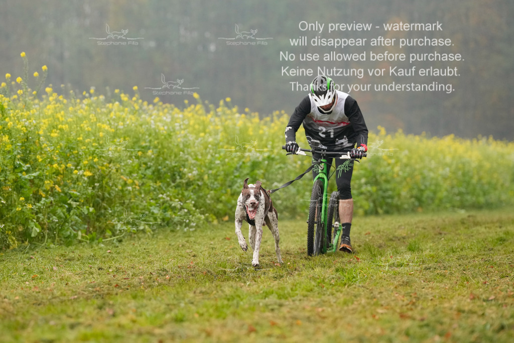 Visbeck_Sa_Scooter_Hc-23 | stephaniefillaphotographie - Realisiert mit Pictrs.com