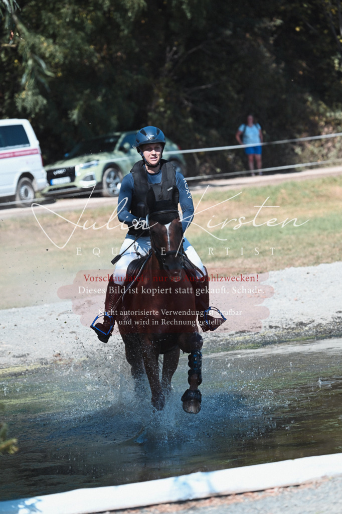 DSC_8514 | Pferde- und Turnierfotografie in Westsachsen. Pferdeportraits, Auftragszeichnungen und intuitive Kunst.