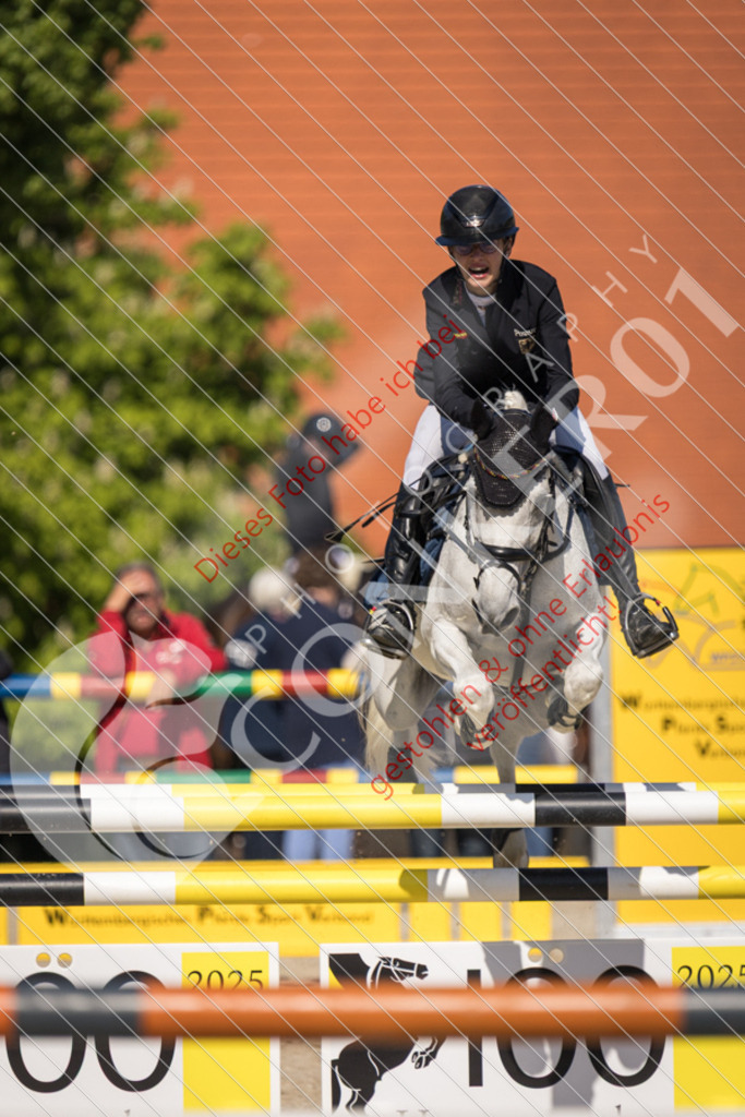 IMG_3881 | Sport-, Event- und Tierfotos in Profiqualität. Einfach auswählen, bestellen und herunterladen. Dein Moment – perfekt festgehalten.