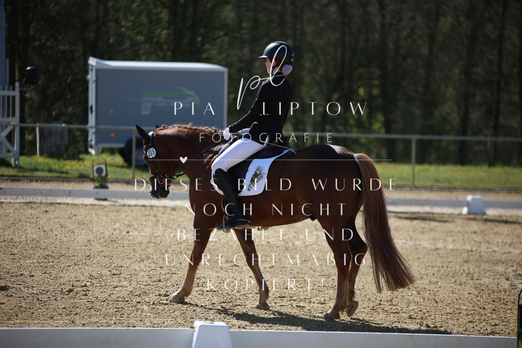 IMGT0100 | pl-fotografie