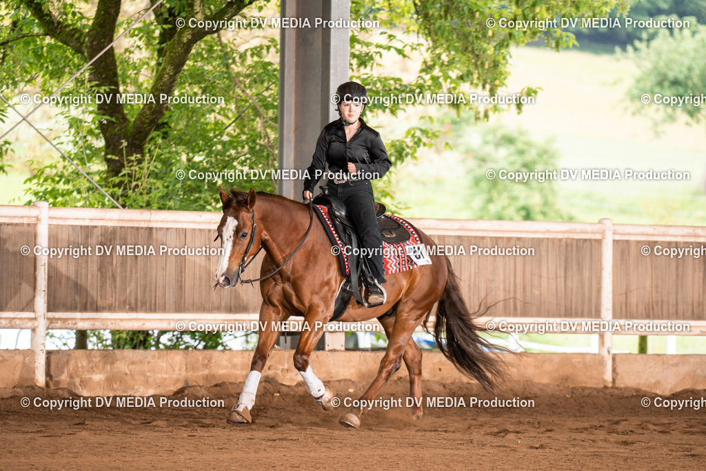 Erbach Tag 4-737 | dv-media-shop - Realisiert mit Pictrs.com