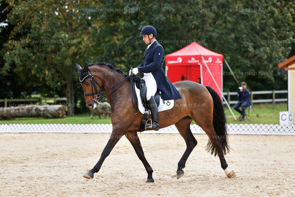 11-226-Dressur S___-StoibPH-1030 | working equitationturnier fotograf videograf stoibphotography marixx film working equitation deutschland reitsport turnierfotografie eventfotografie equestrian events