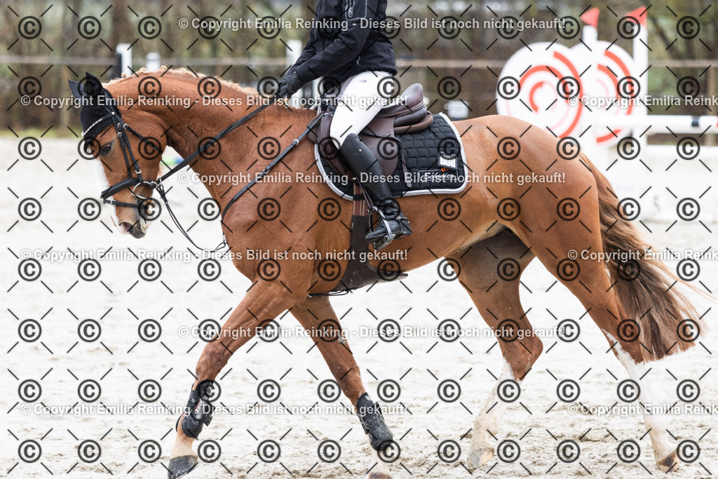 CL5A6503 | Emilia Reinking Fotografie - Realisiert mit Pictrs.com