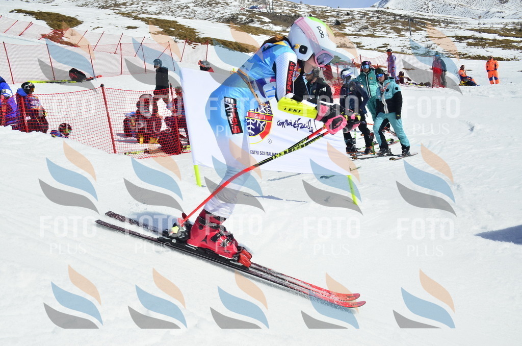 _ELE1166 | holidayphoto