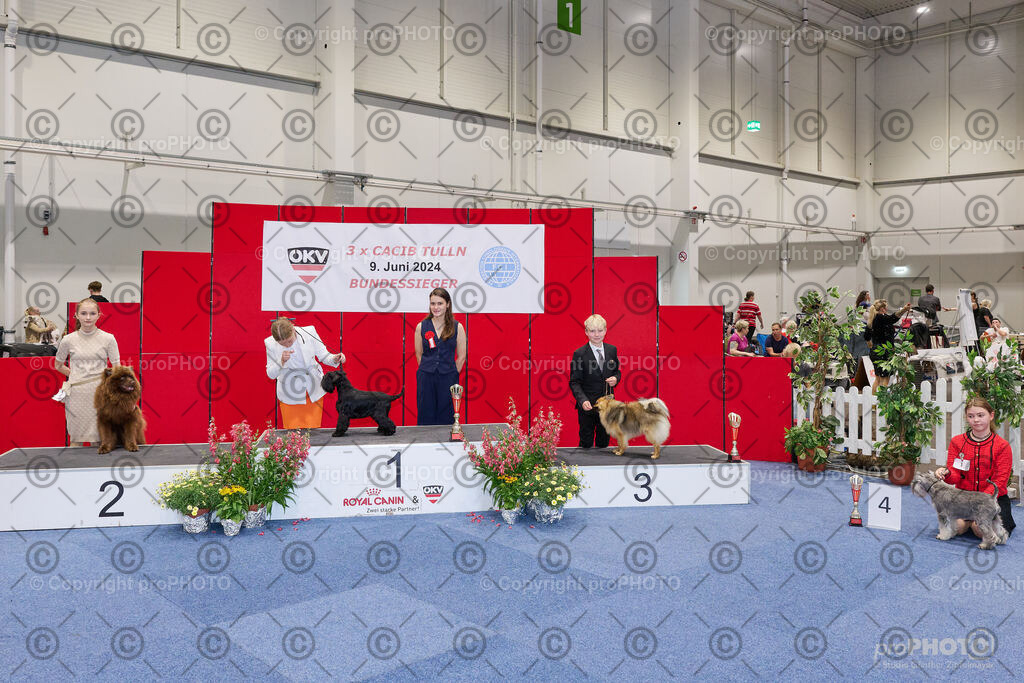 202406_ÖKV-IHA-Tulln24_NZ9_9413 | proPHOTO - Realisiert mit Pictrs.com