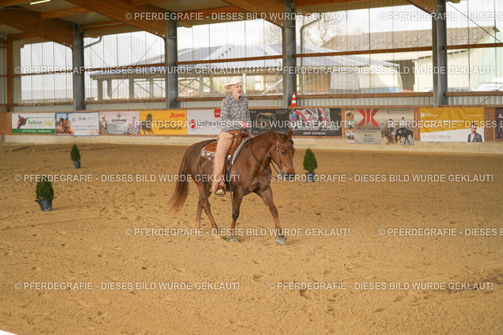 DSC02246 | Pferdegrafie