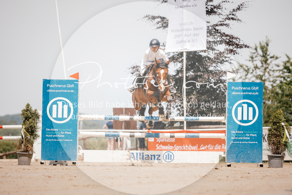 3I6A7751 | Stimmungsvolle Portraits und Reitsportfotografie im Ruhrgebiet und im Münsterland.

Pferdefotografie, Hundefotografie, Tierfotografie, Reportagen, Portraits von Tier und Mensch, Turnierfotografie in Bochum, Recklinghausen, Marl, Haltern am See, Dülmen.. - Realisiert mit Pictrs.com