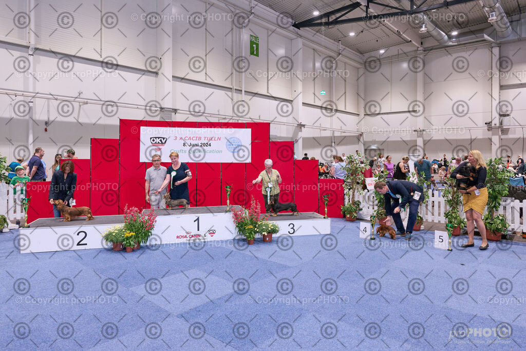 202406_ÖKV-IHA-Tulln24_NZ9_8681 | proPHOTO - Realisiert mit Pictrs.com