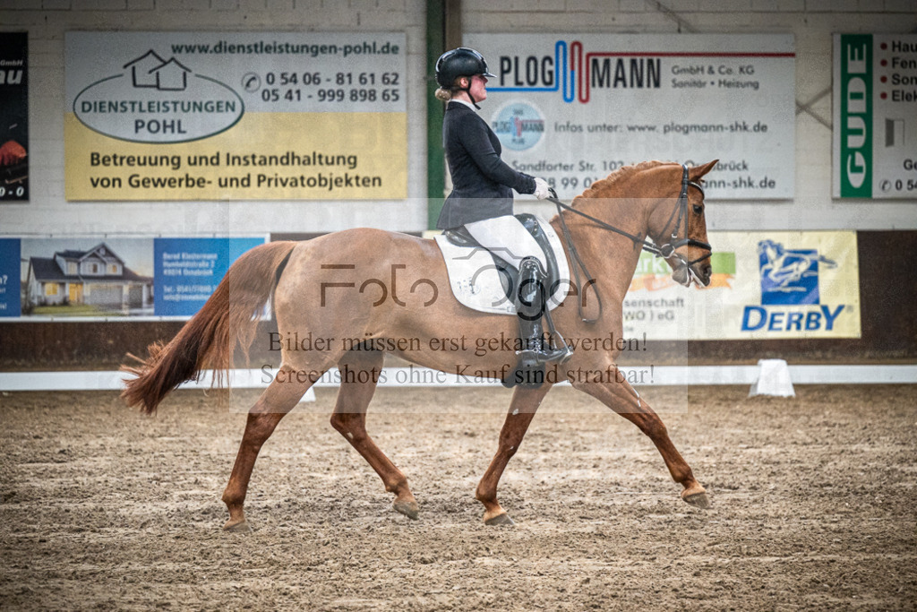 DOS_0582 | Entdecke hochwertige Reitturnierfotos von Foto Oger. Professionell, emotional und authentisch – jetzt Lieblingsmomente im Shop bestellen.Deutschlandweite Turnierfotografie. - Realisiert mit Pictrs.com