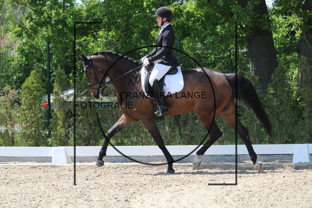 IMG_4436 | franziskalange - Realisiert mit Pictrs.com