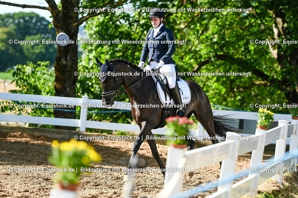 20230715_06_Dressurpferdeprfg. Kl.A_0168 | equistock