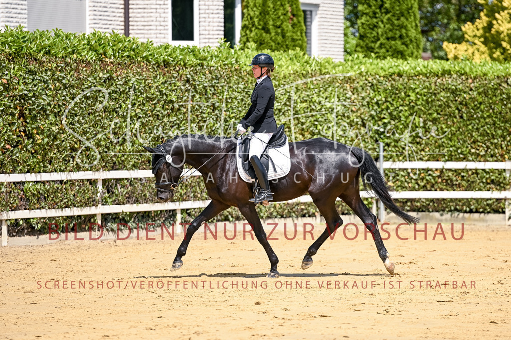 Schugtsche-Aluta25-49.Dressurpferdeprf.A-74 | Schugtsche Fotografie - Realisiert mit Pictrs.com