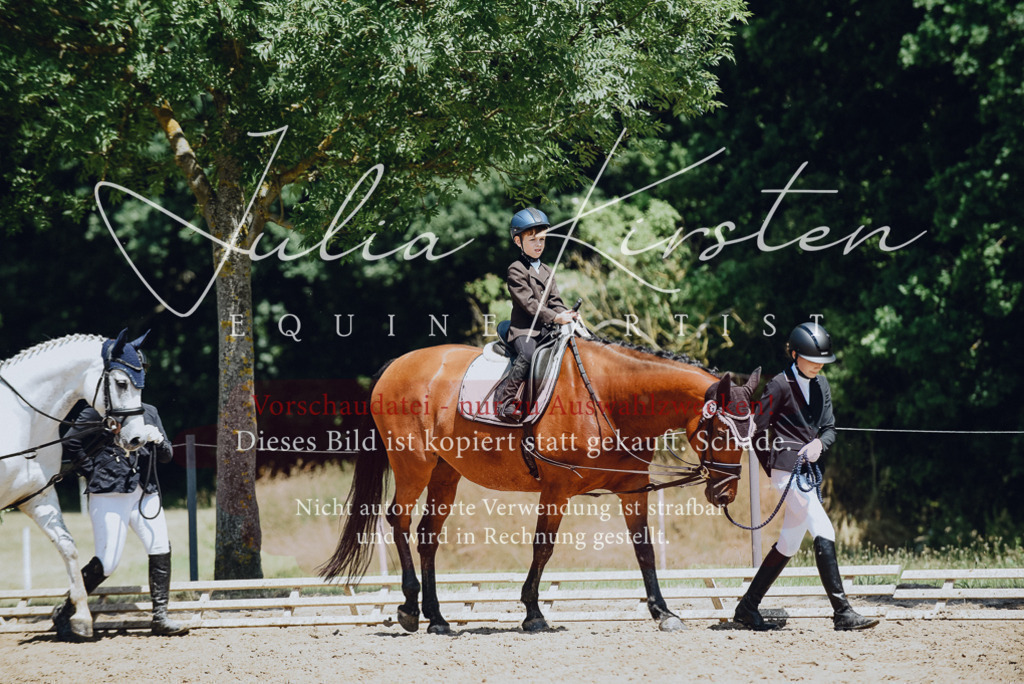 DSC_2096 | Pferde- und Turnierfotografie in Westsachsen. Pferdeportraits, Auftragszeichnungen und intuitive Kunst.