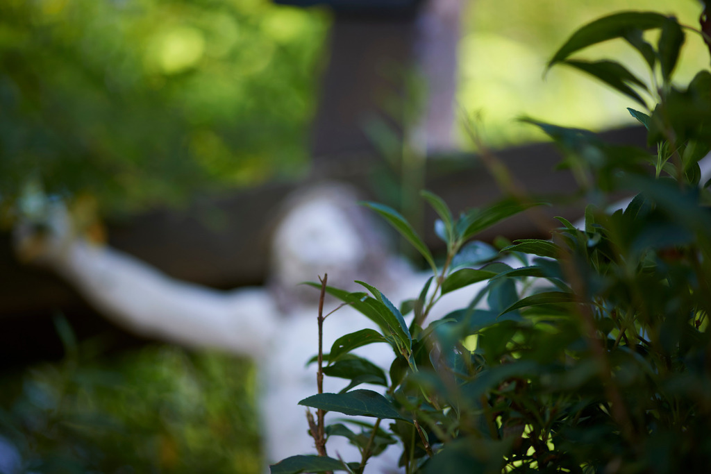 Jesus am Kreuz | Seebarn, Austria - August 02, 2013: Kellergasse-Kellerweg; Jesus am Kreuz, Blick durch ein Gebüsch. - Realisiert mit Pictrs.com