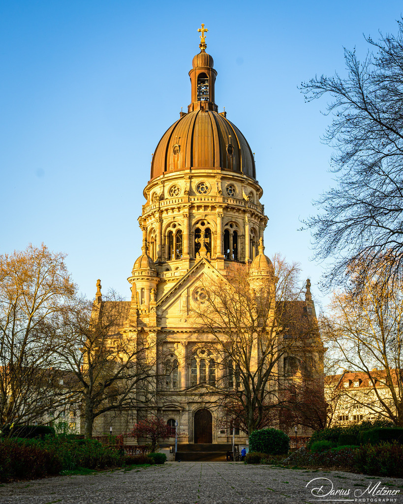 DSC_6777 2 | Fotografien, Fotos und Bilder aus Mainz, Frankfurt, Wiesbaden und anderen Orten auf der Welt - Fotografiert von Darius Metzner