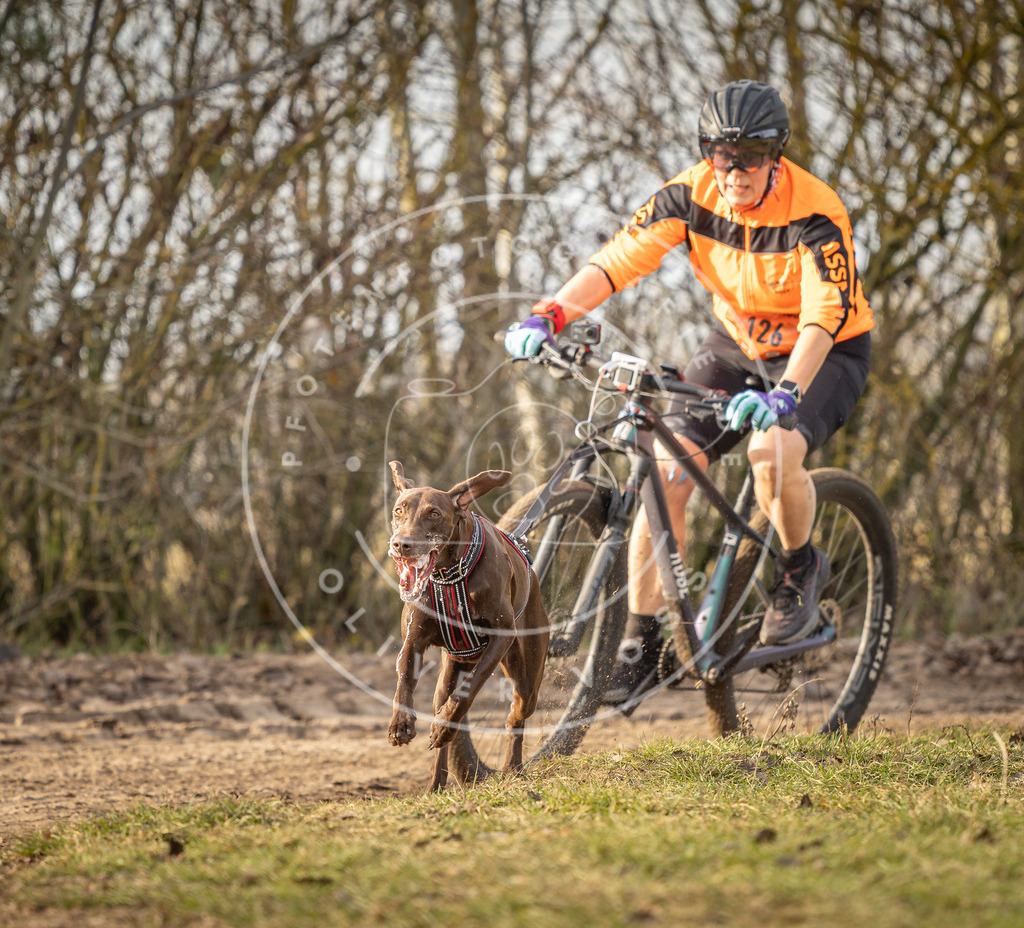 Pfotenfotografie_DV3A8487 | Hundefotografie, Tierfotograf, Pfotenfotografie, Fotoshooting Hund, Hunde Portrait, Hundesport, Hundeportraits, Heideshooting, Hunde, Sportfotograf, Hundefotograf, Turnierhundsport, THS,  - Realisiert mit Pictrs.com