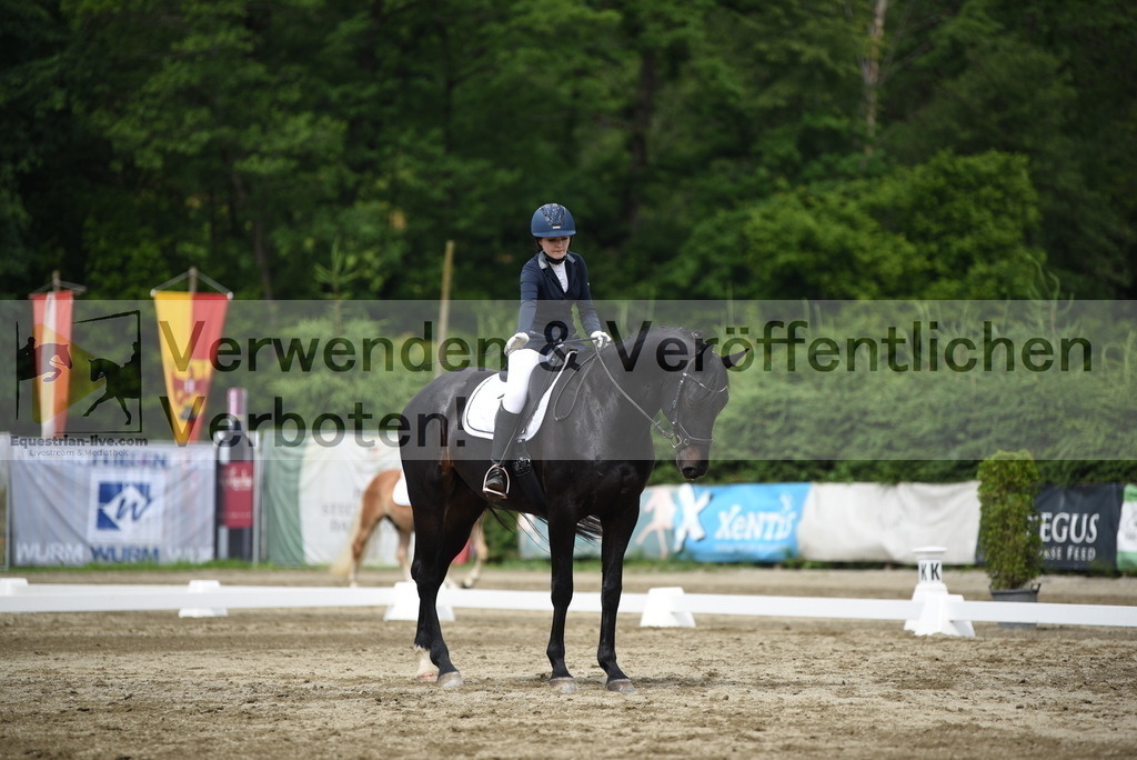 DSC_8456 | equestrian-live-com