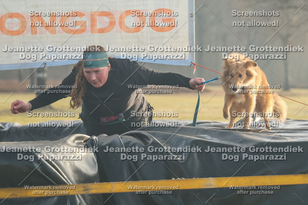 Dog Paparazzi - SD North Sa 830-900-70 | Dog Paparazzi Jeanette Grottendiek Fotografie & Videografie - Realisiert mit Pictrs.com