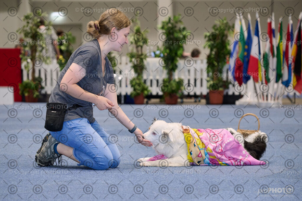 202406_ÖKV-IHA-Tulln24_NZ9_7689 | proPHOTO - Realisiert mit Pictrs.com