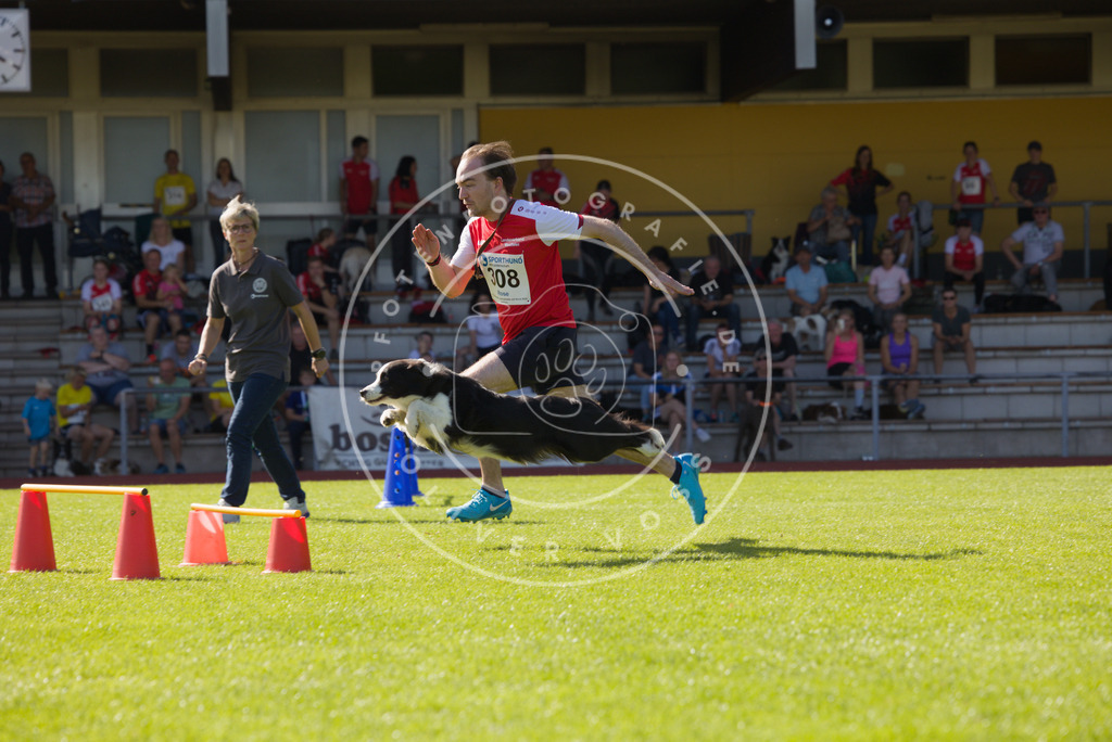 0L8A8820 | Hundefotografie, Tierfotograf, Pfotenfotografie, Fotoshooting Hund, Hunde Portrait, Hundesport, Hundeportraits, Heideshooting, Hunde, Sportfotograf, Hundefotograf, Turnierhundsport, THS,  - Realisiert mit Pictrs.com