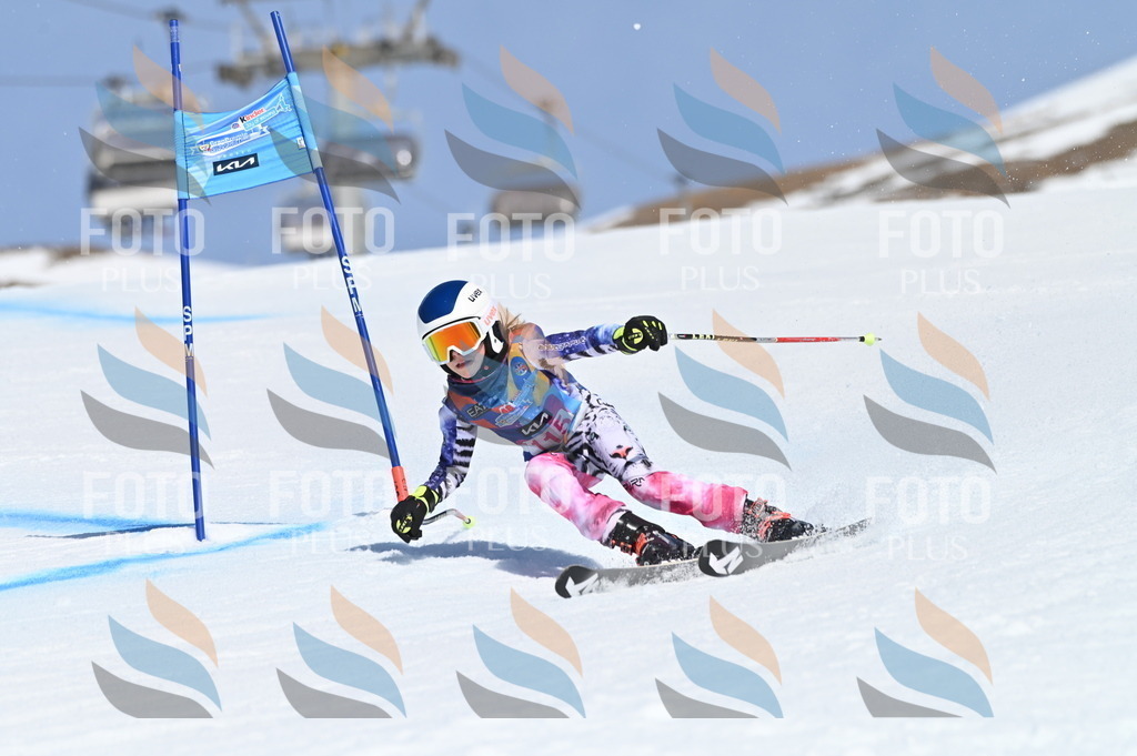 BGV_9720 | holidayphoto