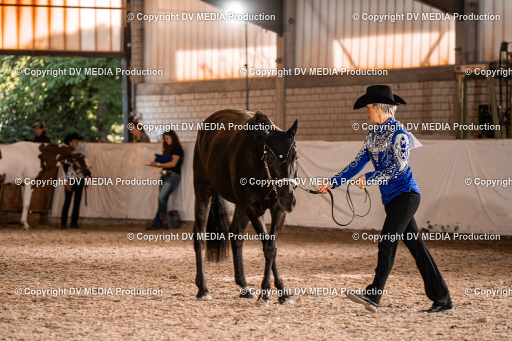 ZH100186 | dv-media-shop - Realisiert mit Pictrs.com