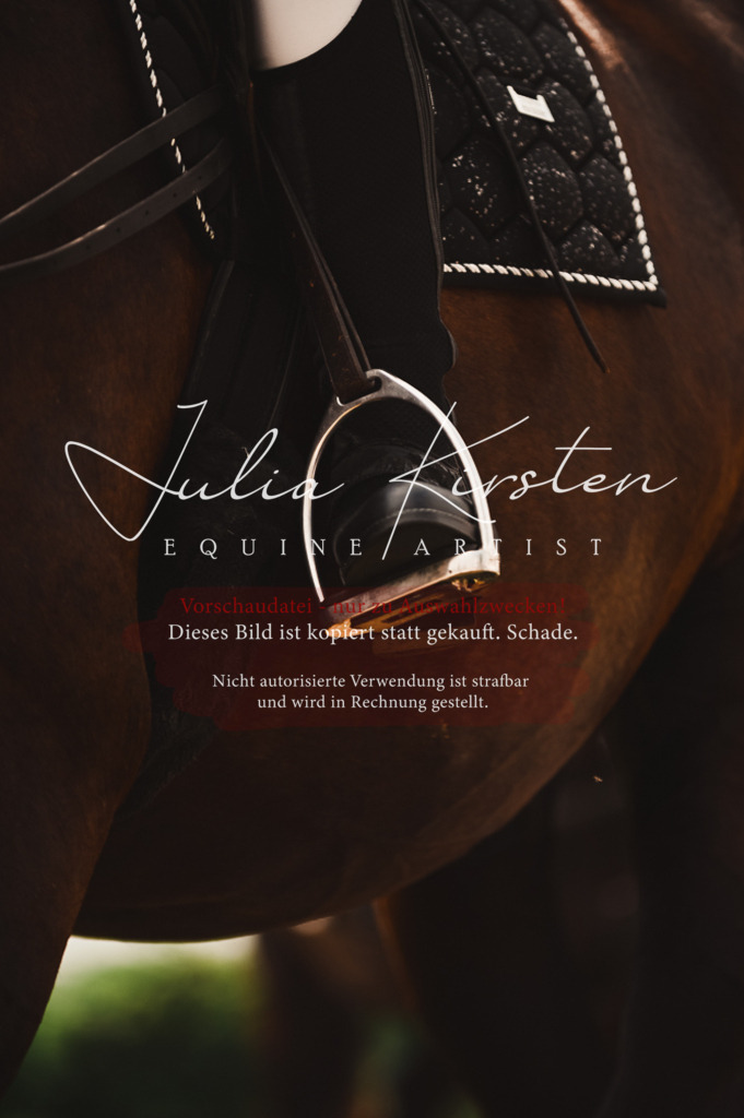 DSC_6263 | Pferde- und Turnierfotografie in Westsachsen. Pferdeportraits, Auftragszeichnungen und intuitive Kunst.