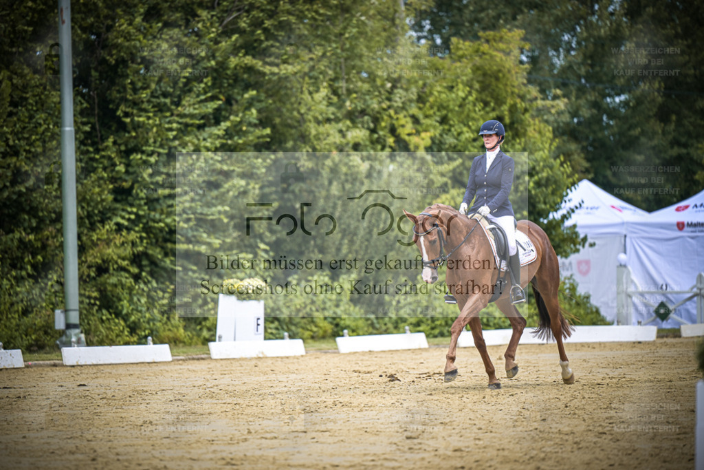 DOS_2331 | Entdecke hochwertige Reitturnierfotos von Foto Oger. Professionell, emotional und authentisch – jetzt Lieblingsmomente im Shop bestellen. - Realisiert mit Pictrs.com