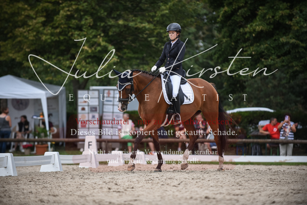 DSC_8424 | Pferde- und Turnierfotografie in Westsachsen. Pferdeportraits, Auftragszeichnungen und intuitive Kunst.