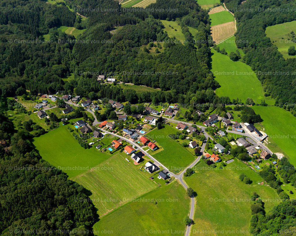 3105541 | Seifen, Forst
