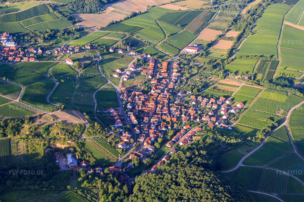 Luftbild: Ortsansicht von Südwesten im Ortsteil Gleishorbach in Gleiszellen-Gleishorbach im Bundesland Rheinland-Pfalz in Deutschland. Foto: IMG_51303.jpg vom 04.08.2012 durch Werner Riehm/FLY-FOTO.deAuflösung des Originals: 4752 x 3168 px