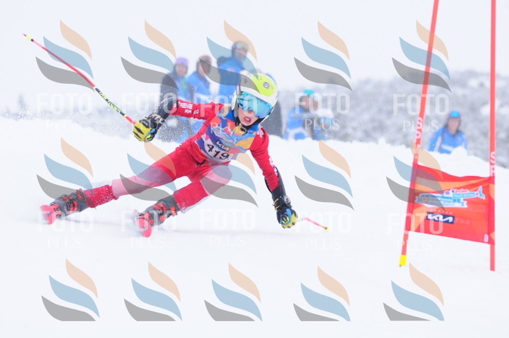 C4397 | holidayphoto