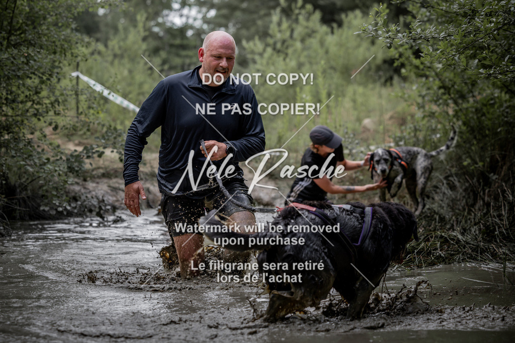 nelerasche_so0800-0930_282 | nelerasche