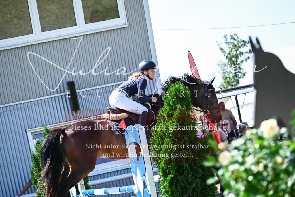 DSC_1301 | Pferde- und Turnierfotografie in Westsachsen. Pferdeportraits, Auftragszeichnungen und intuitive Kunst.