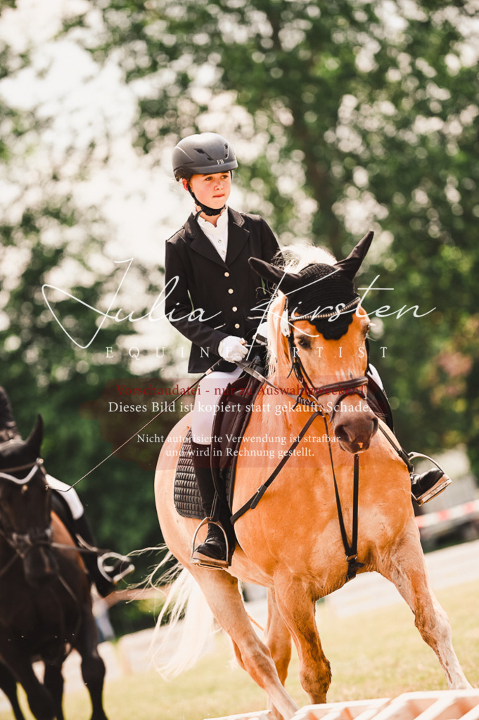 DSC_6177 | Pferde- und Turnierfotografie in Westsachsen. Pferdeportraits, Auftragszeichnungen und intuitive Kunst.