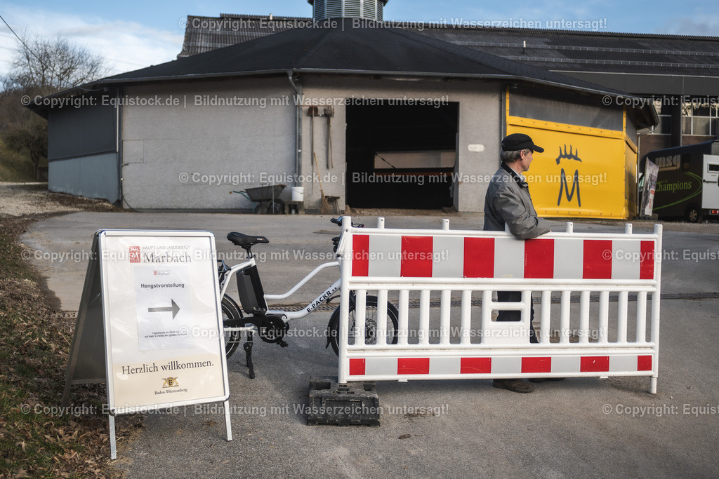 20240302_Hengstvorstellung_Marbach_TOMsPiC_0021 | equistock