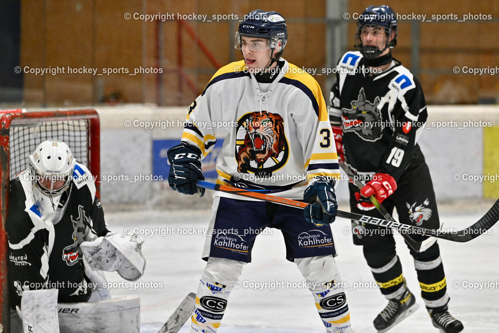 EC Tigers Paternion vs. Tarco Wölfe II | #34 Schleinzer Manuel Tarco Wölfe II, #3 Kronawetter Piersilvio EC Tigers Paternion, #19 Werner Maximilian Tarco Wölfe II, EC Tigers Paternion vs. Tarco Wölfe II, EC Tigers Paternion vs. Tarco Wölfe II am 19.12.2024 in Spittal an der Drau (Eissportzentrum Spittal), Austria, (Photo by Bernd Stefan)