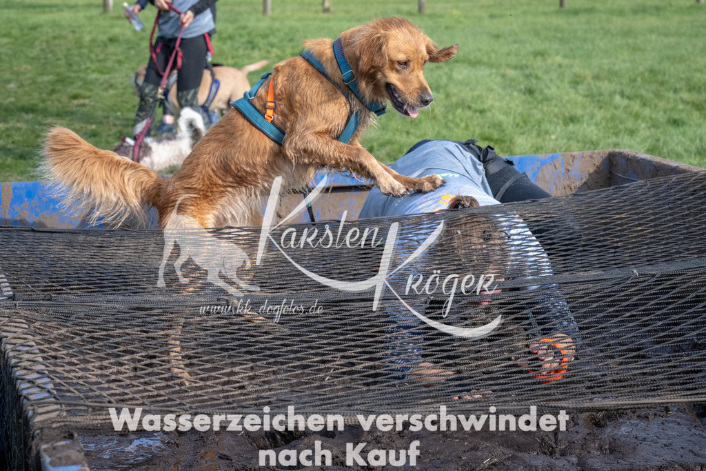 1609_ZZ91766 | kk-dogfotos