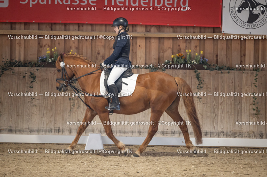 _D5A5614 | Emotionale Pferde- & People-Fotografie rund um Heidelberg, Leimen & Umgebung. Natürliche Fotos von Pferd, Mensch & Familie. Jetzt Termin sichern!