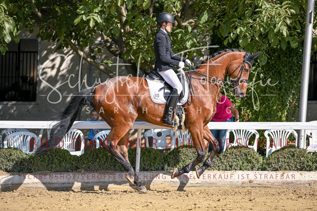 Schugtsche-Aluta25-52.Dressurprf.M2Kand-316 | Schugtsche Fotografie - Realisiert mit Pictrs.com